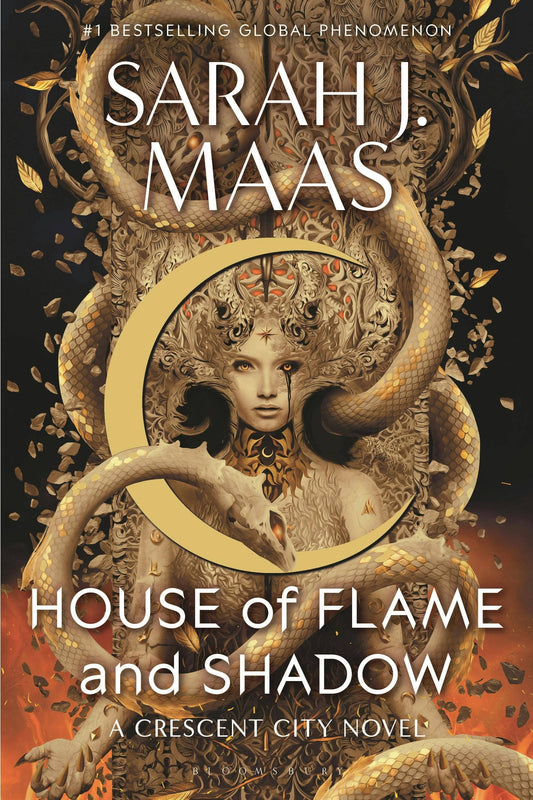 Flame And Shadow Paperback
